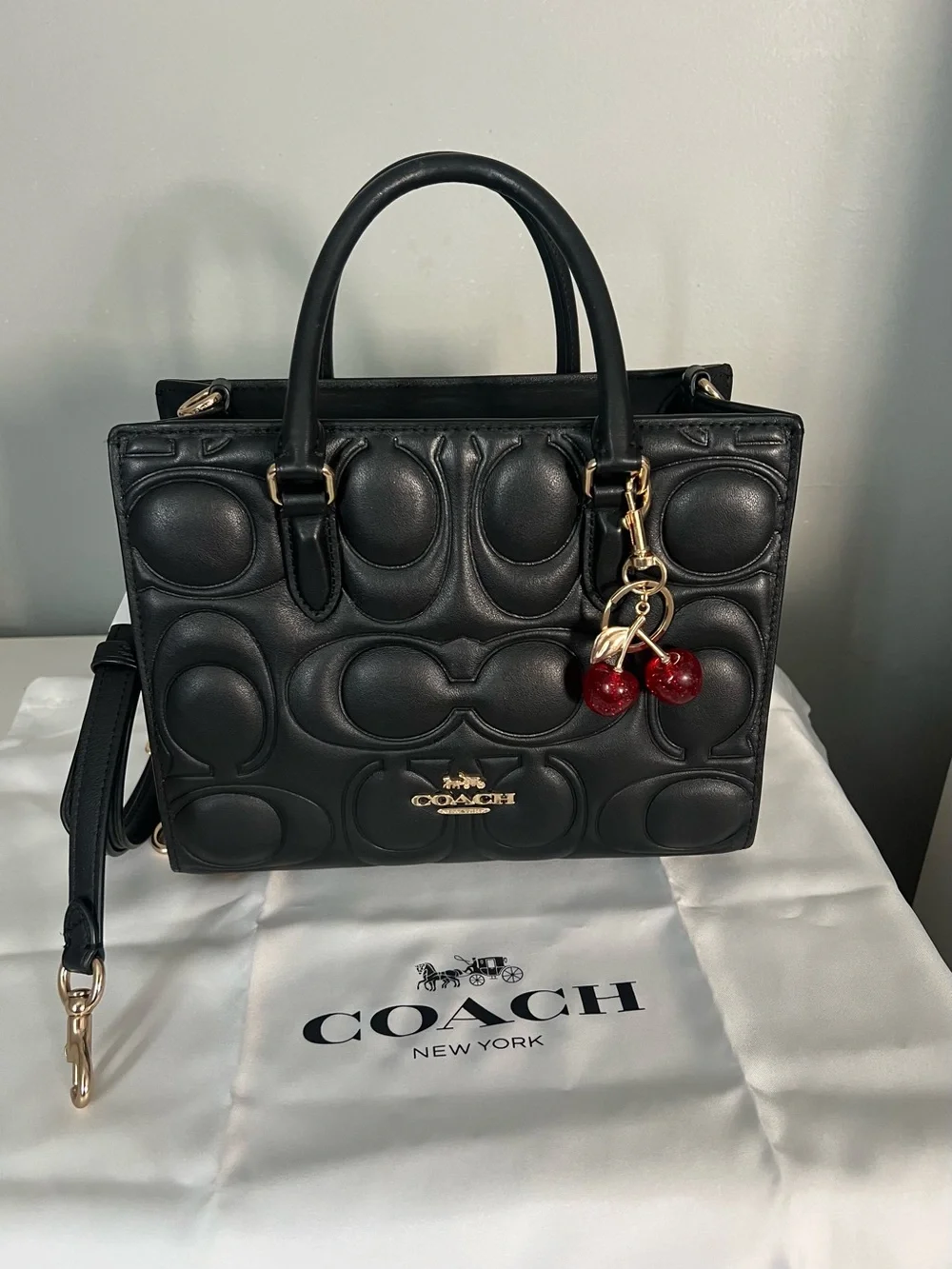 Coach Small Maggie Bag In Signature Leather